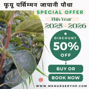 Book Your Plants